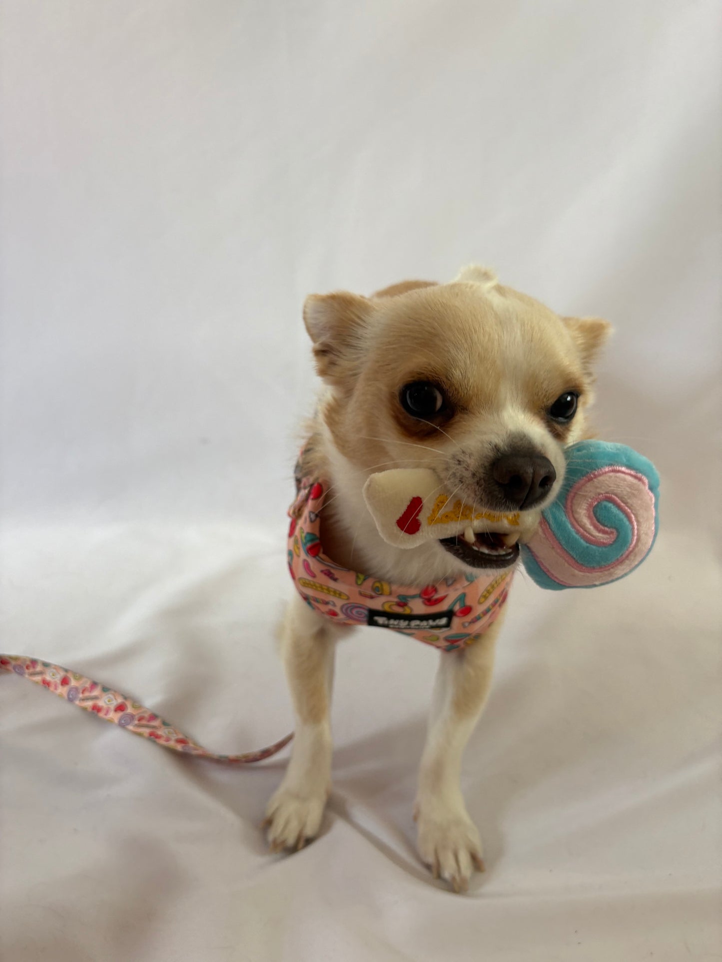 Pick ‘n’ Mix Lead