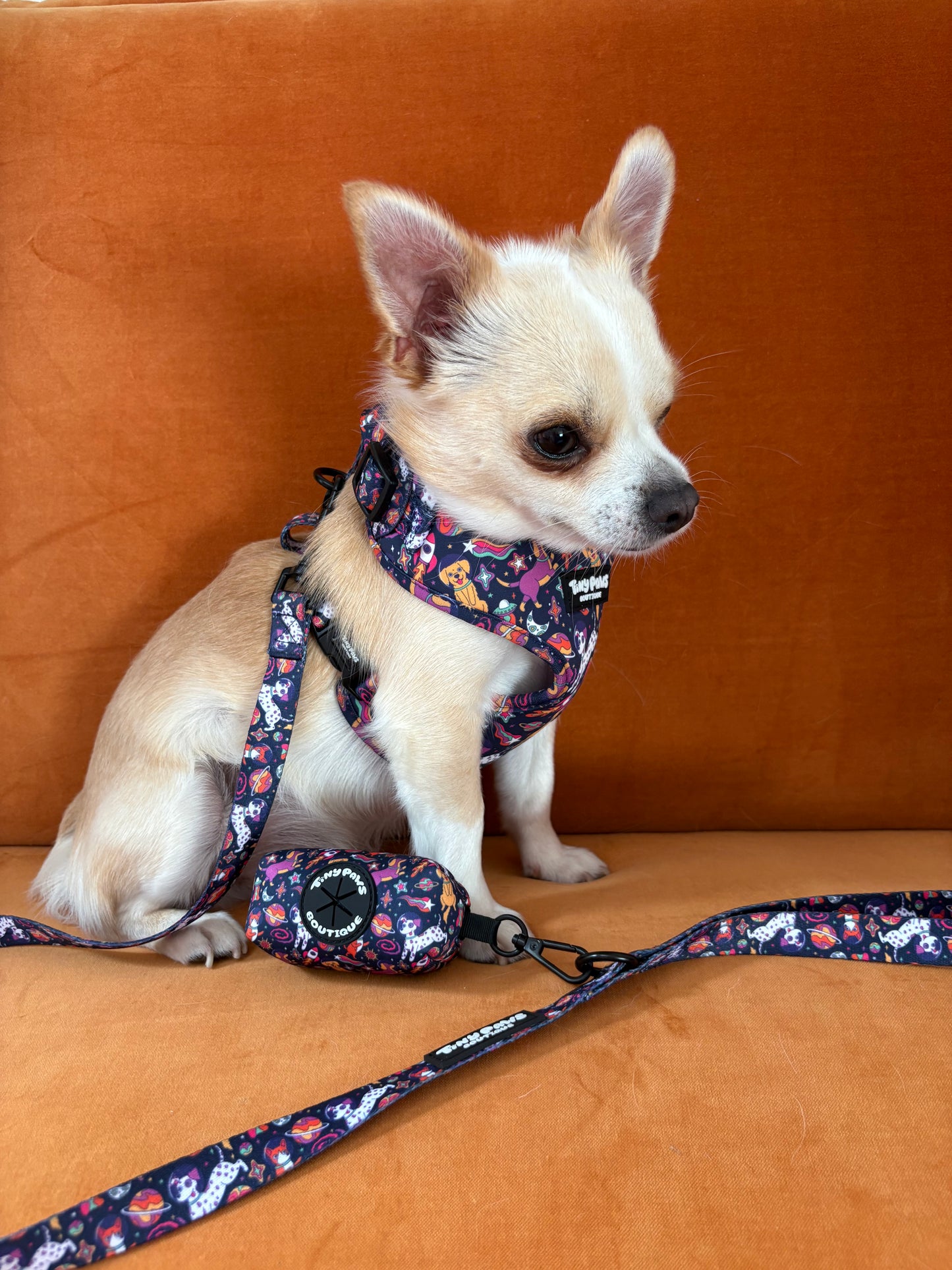 Psychedelic Pupstronaut Collar
