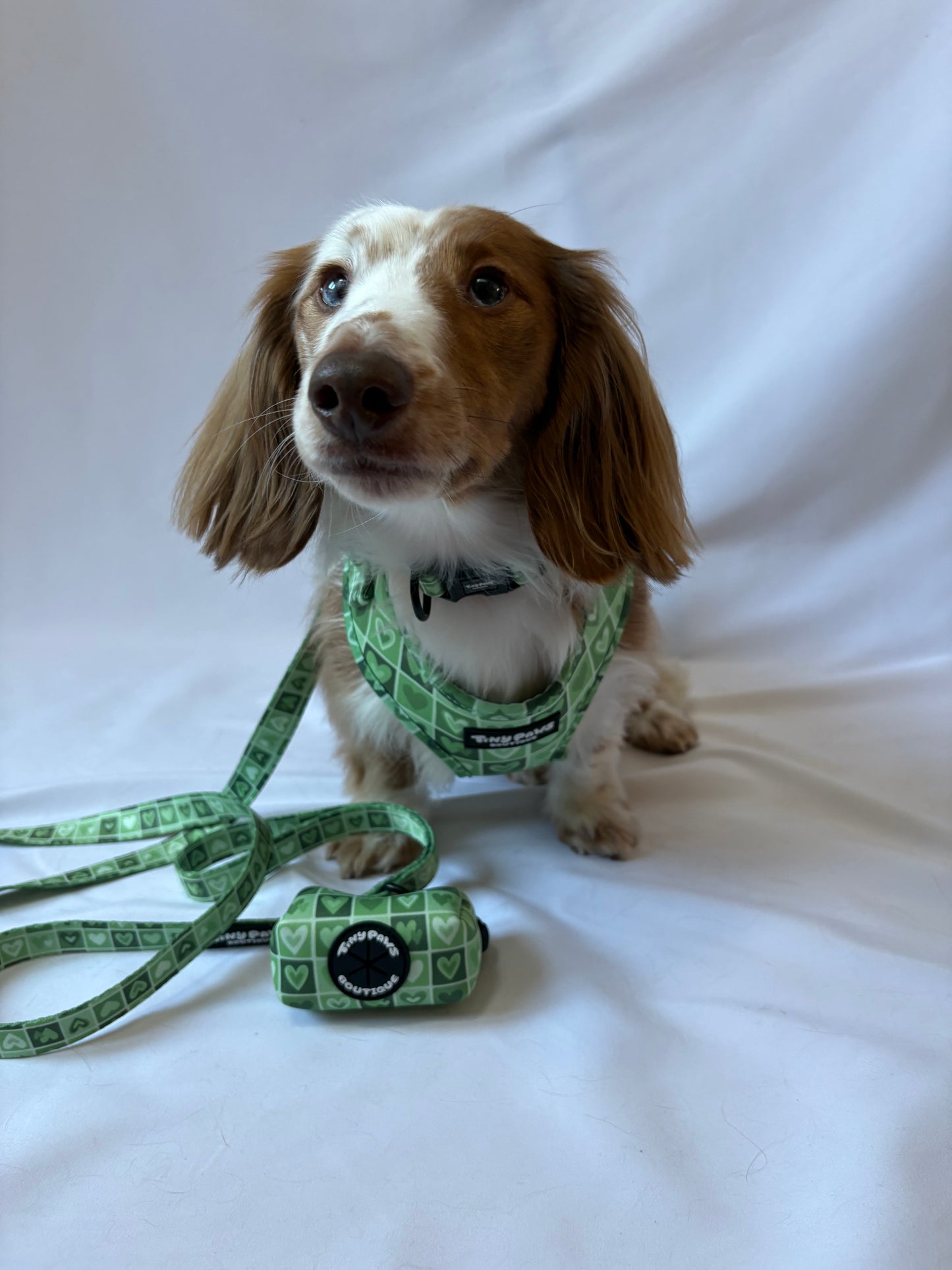 Evergreen Hearts Set