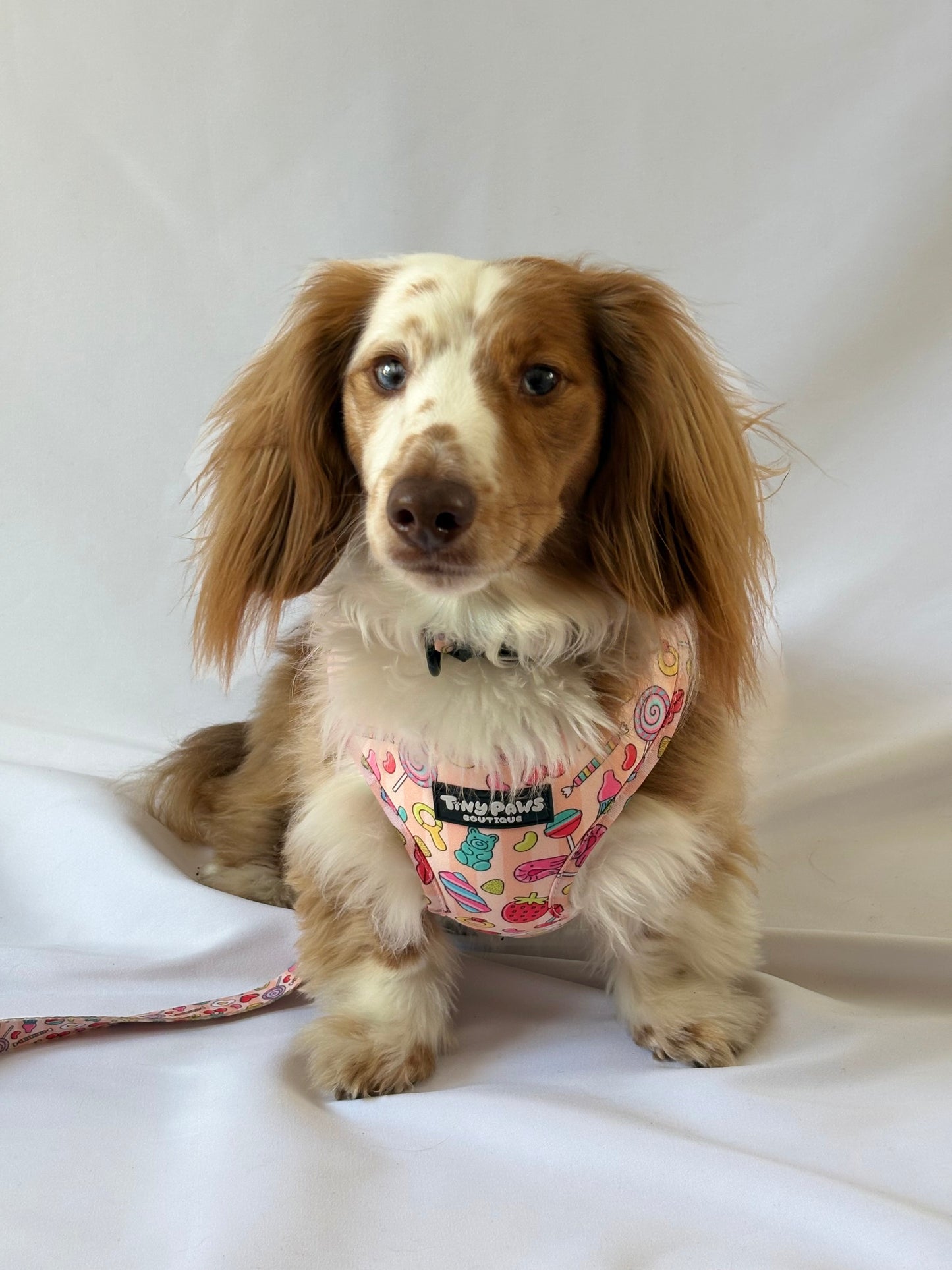 Pick ‘n’ Mix Collar