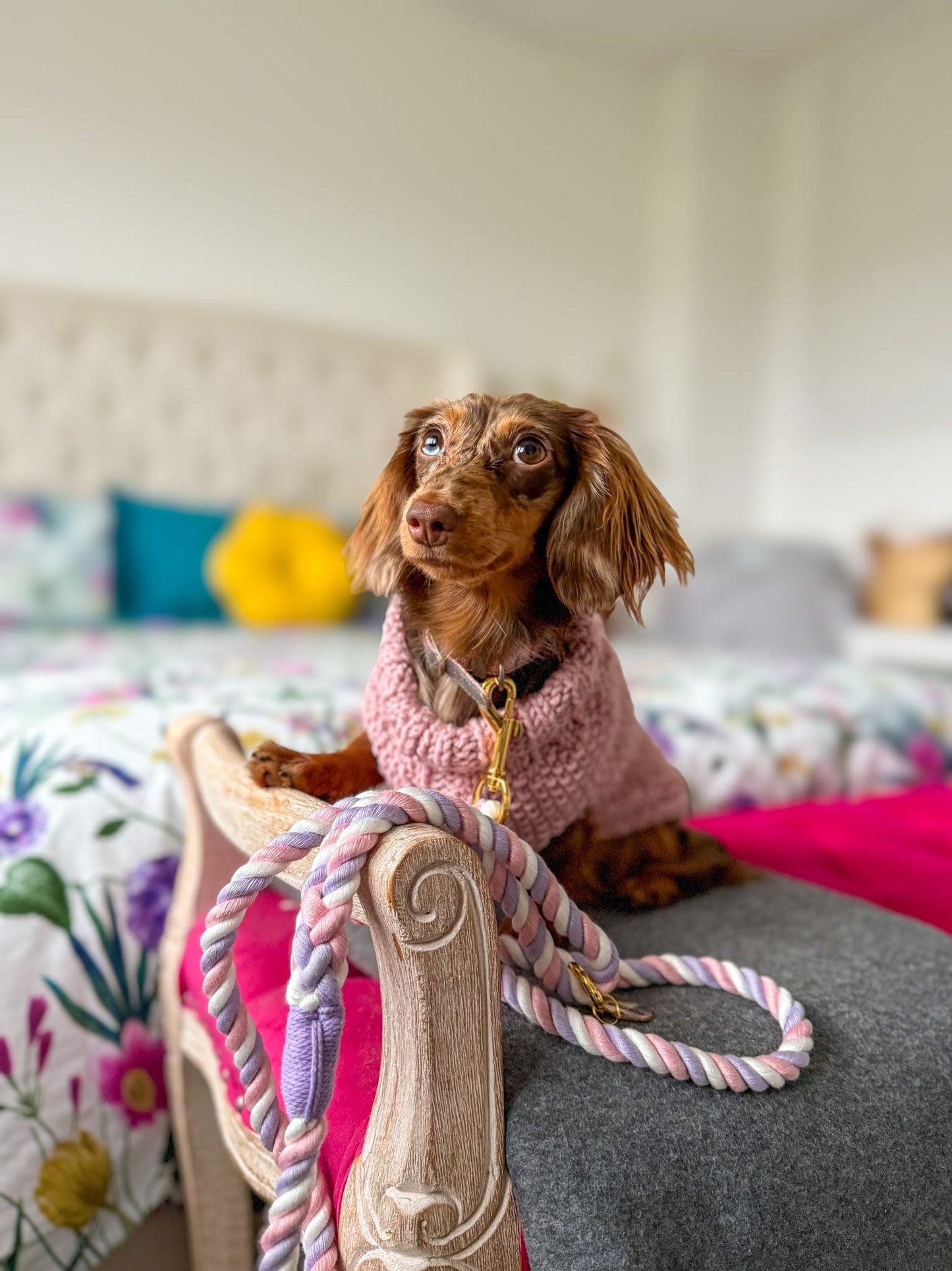 Twisted Rope Lead - Marshmallow