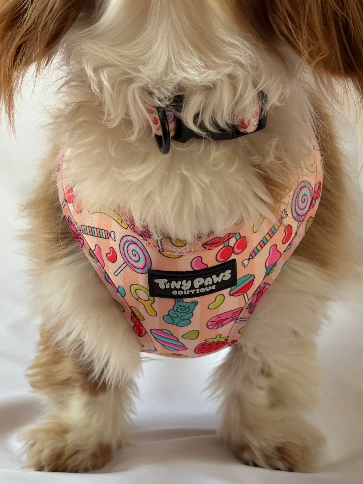 Pick ‘n’ Mix Collar