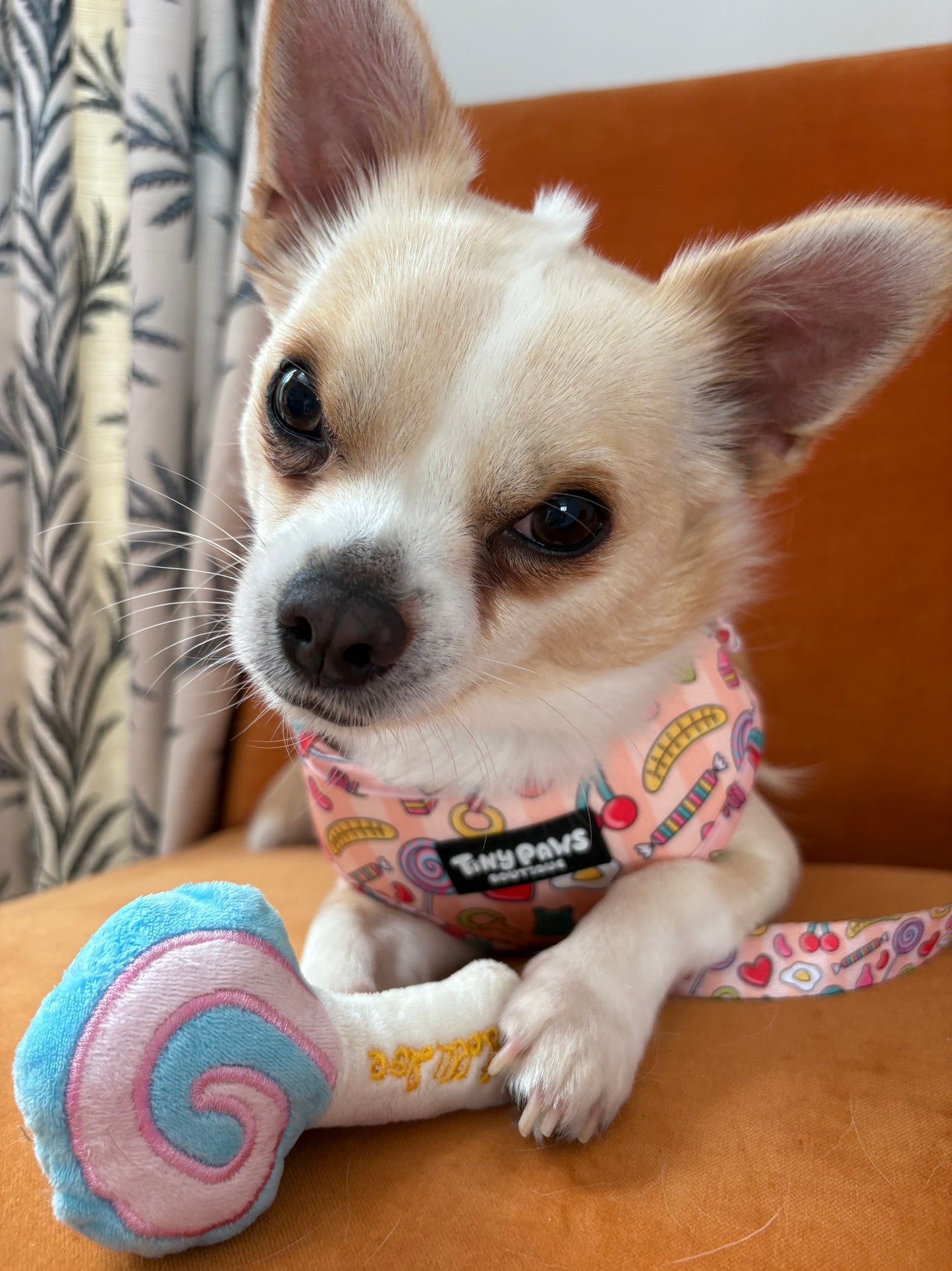 Pick ‘n’ Mix Harness