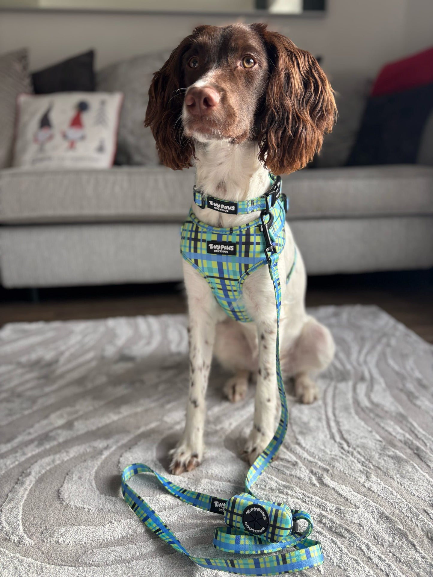 Electric Highland Set