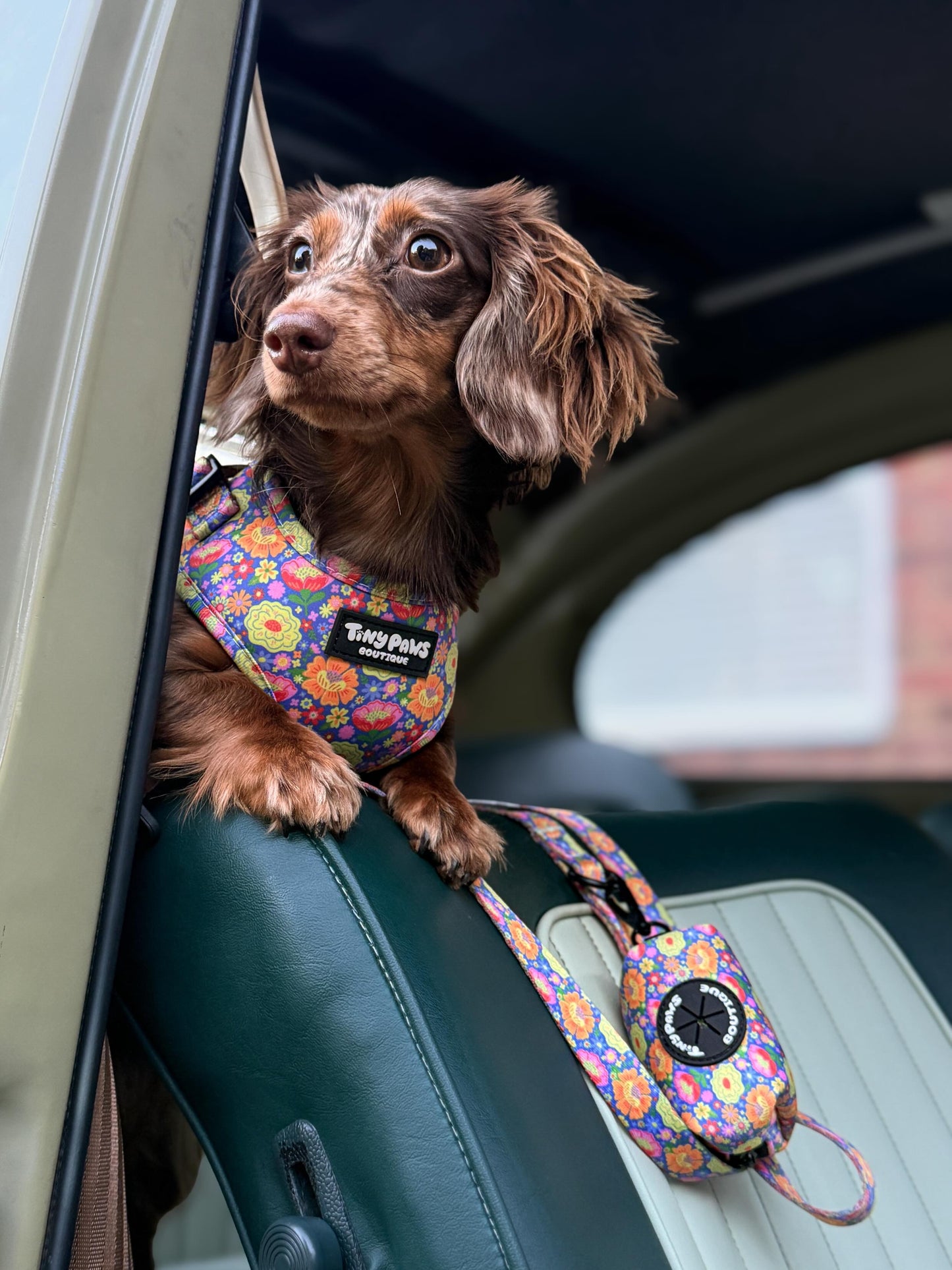 Groovy Garden Harness