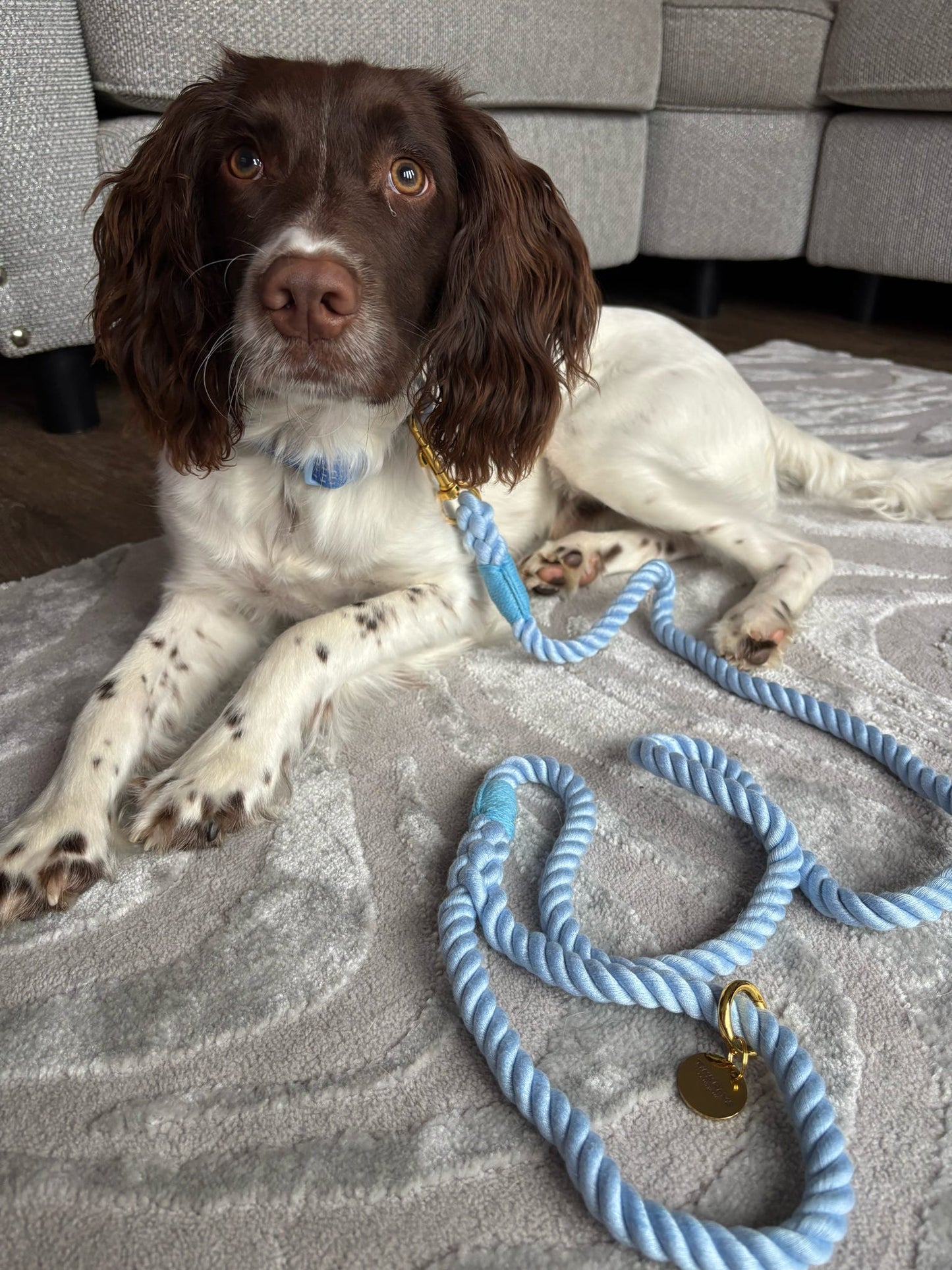 Twisted Rope Lead - Baby Blue