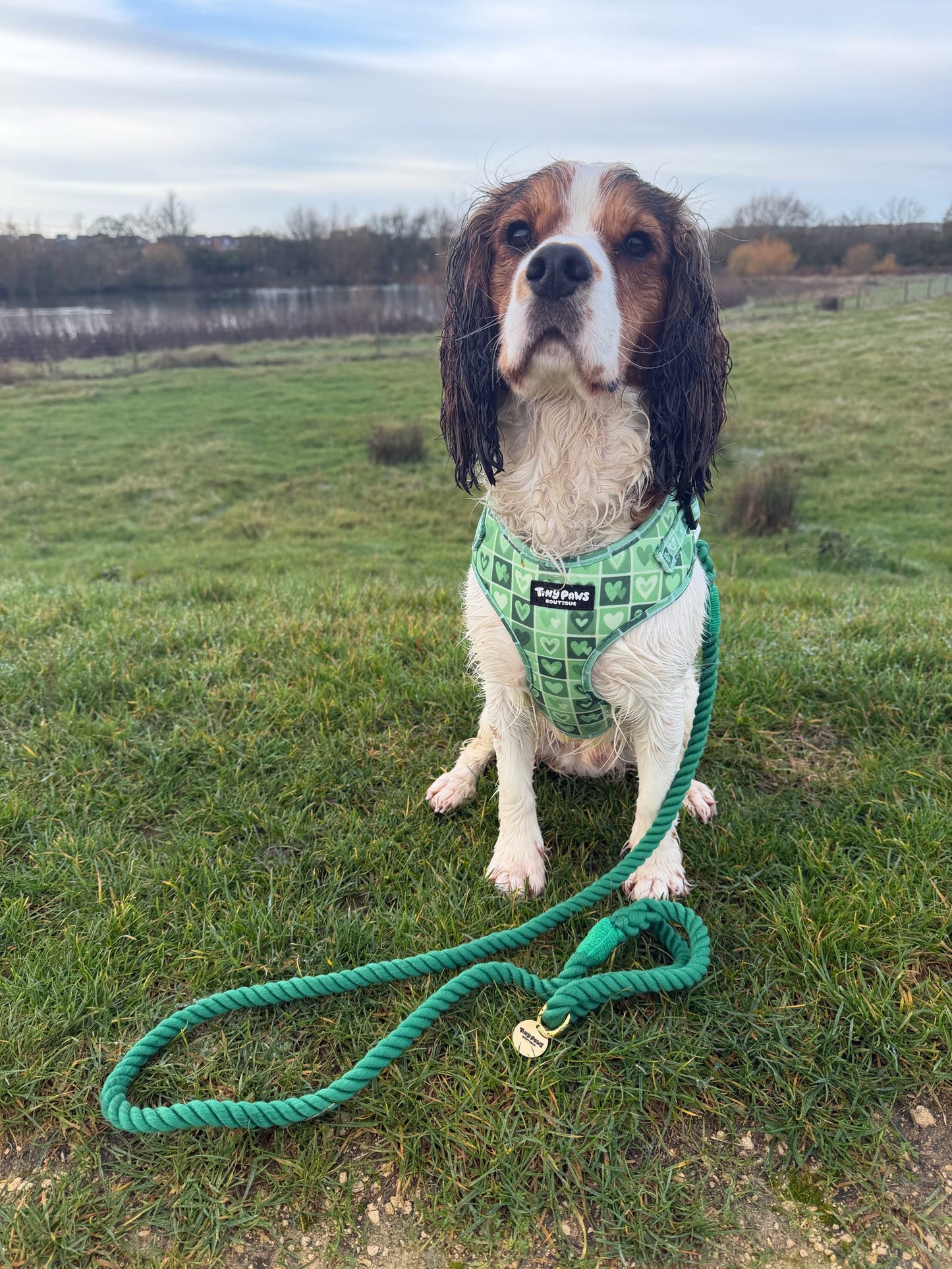 Twisted Rope Lead - Forest