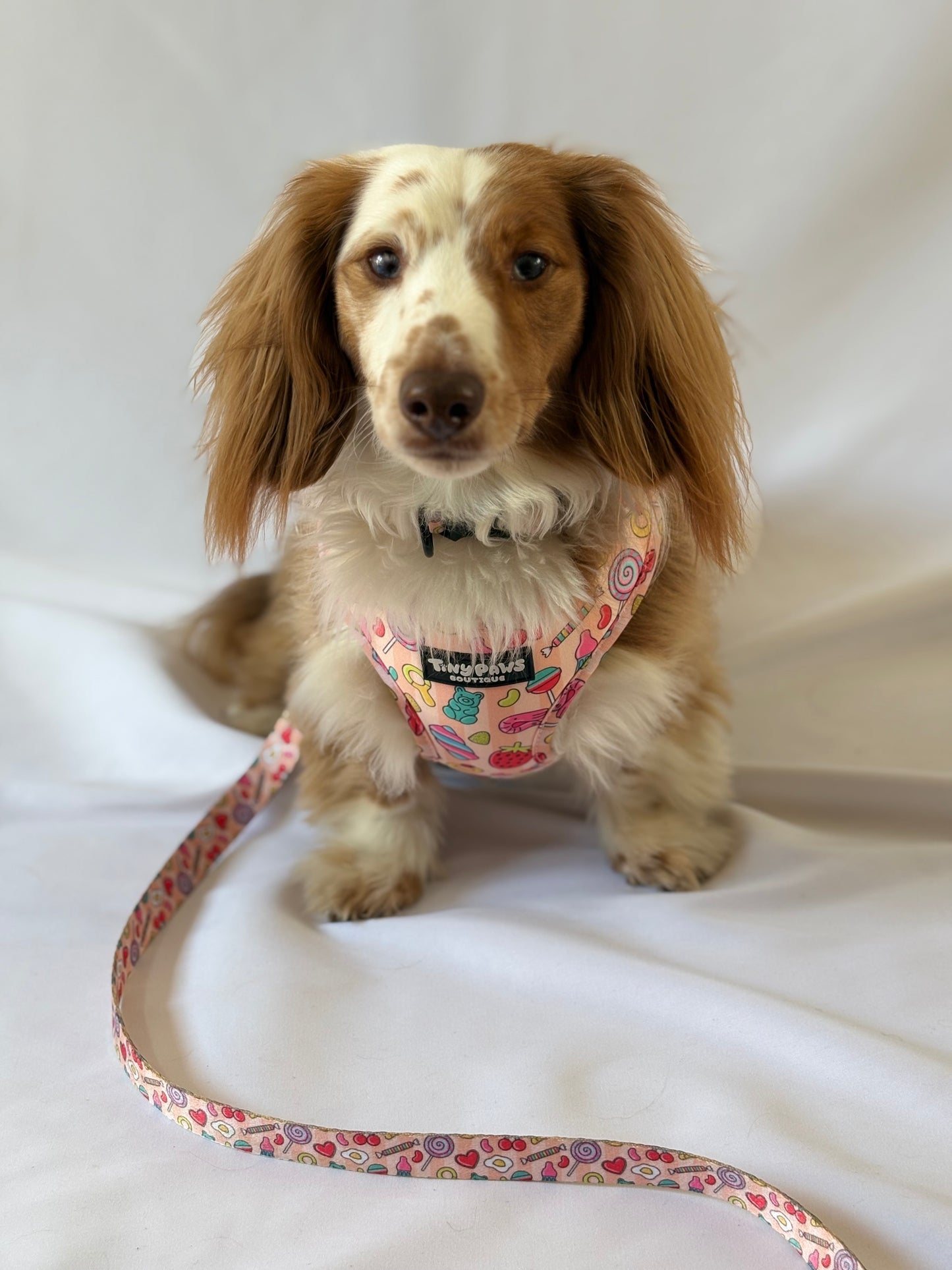 Pick ‘n’ Mix Harness
