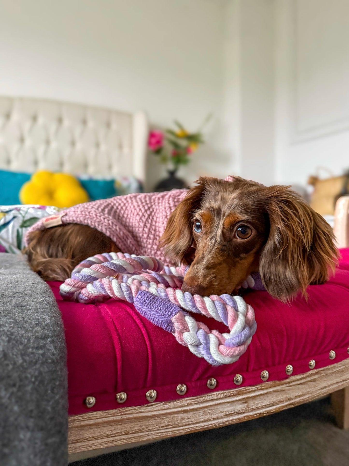 Twisted Rope Lead - Marshmallow