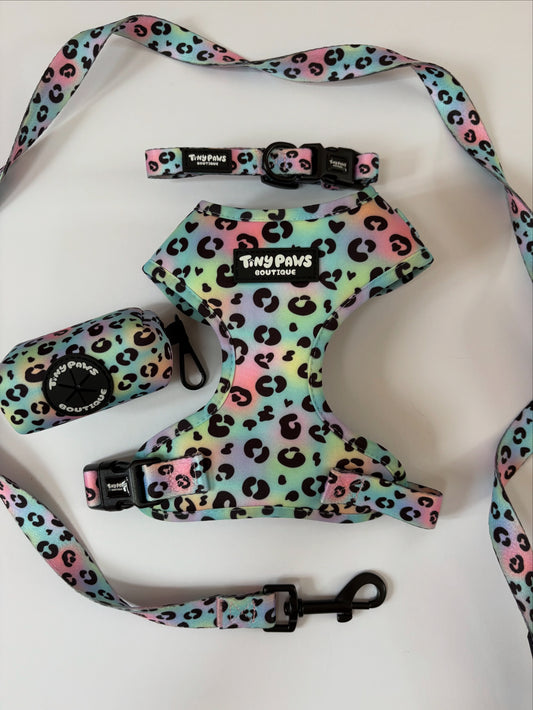 Neon Leopard Set