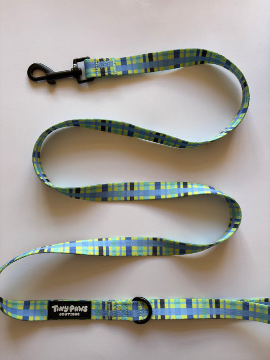 Electric Highland Lead