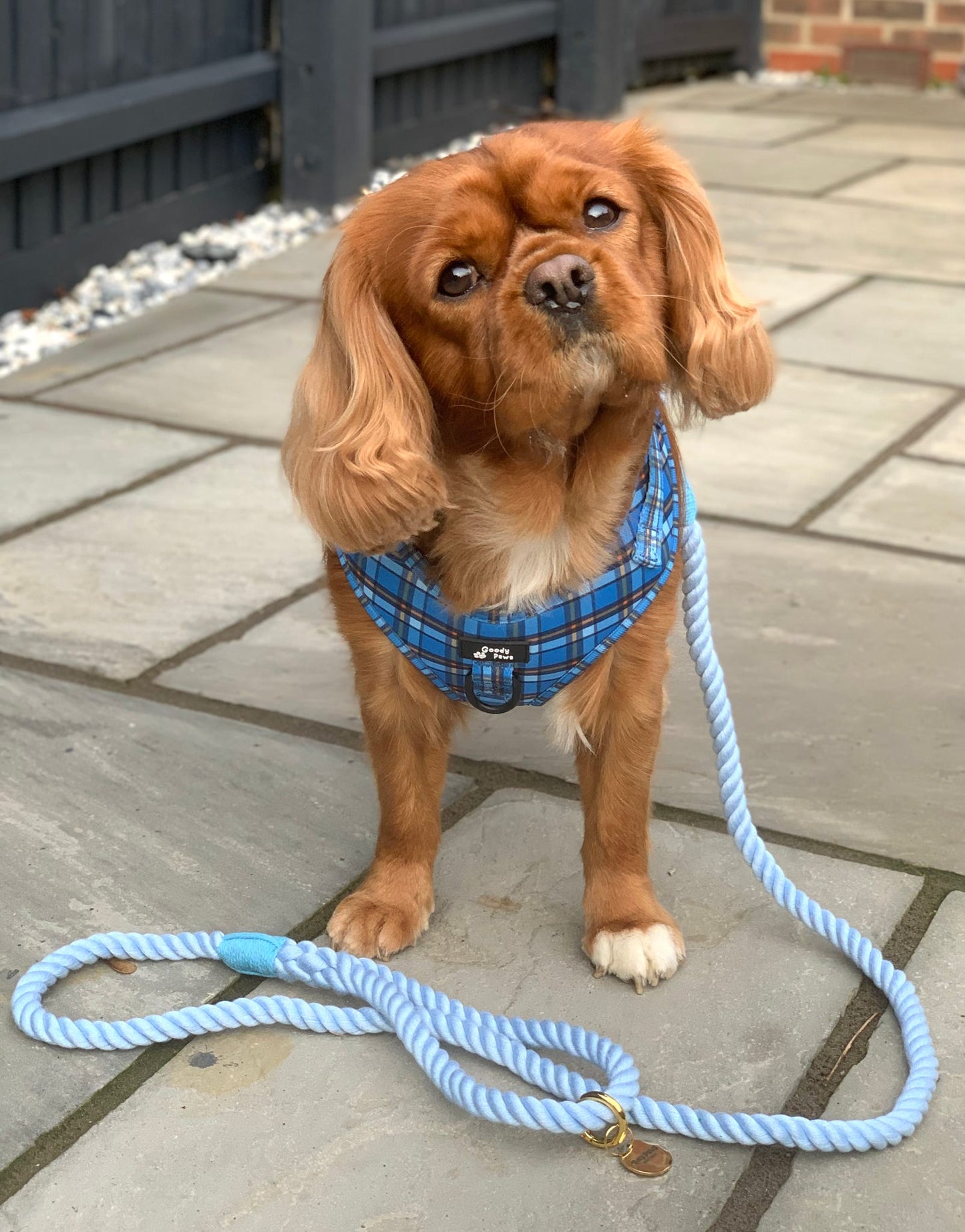 Twisted Rope Lead - Baby Blue