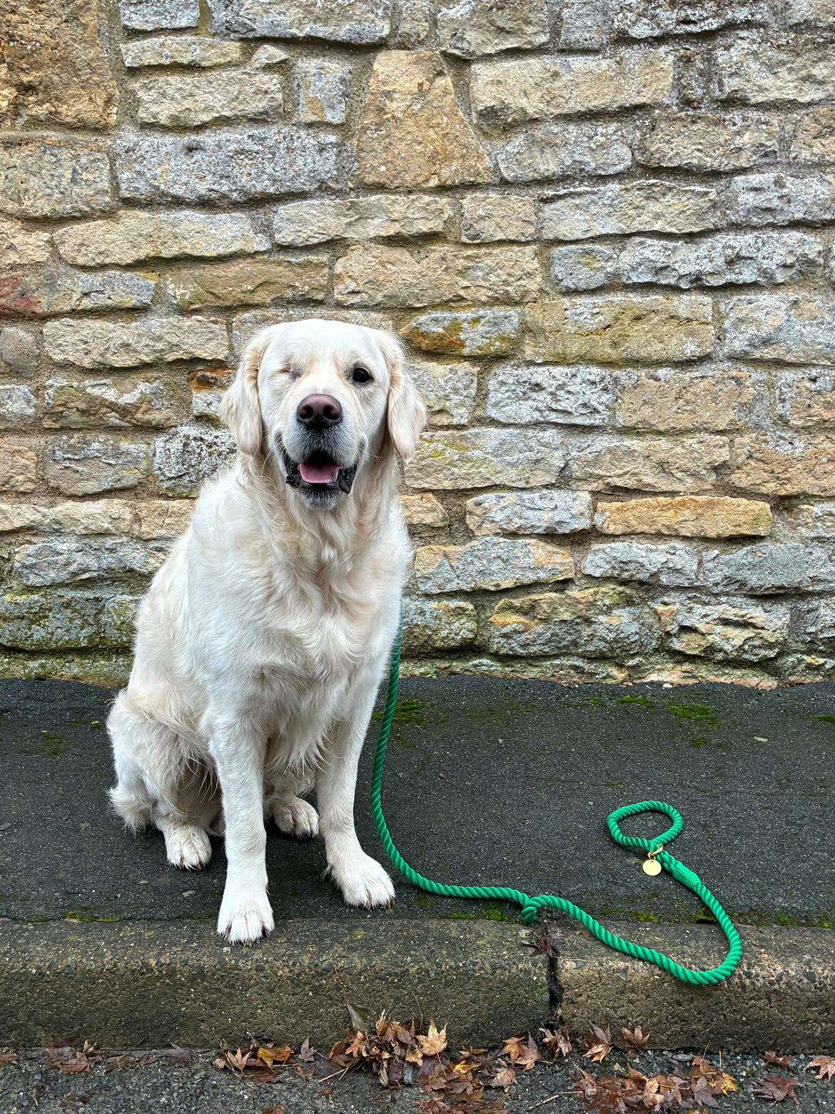 Twisted Rope Lead - Forest