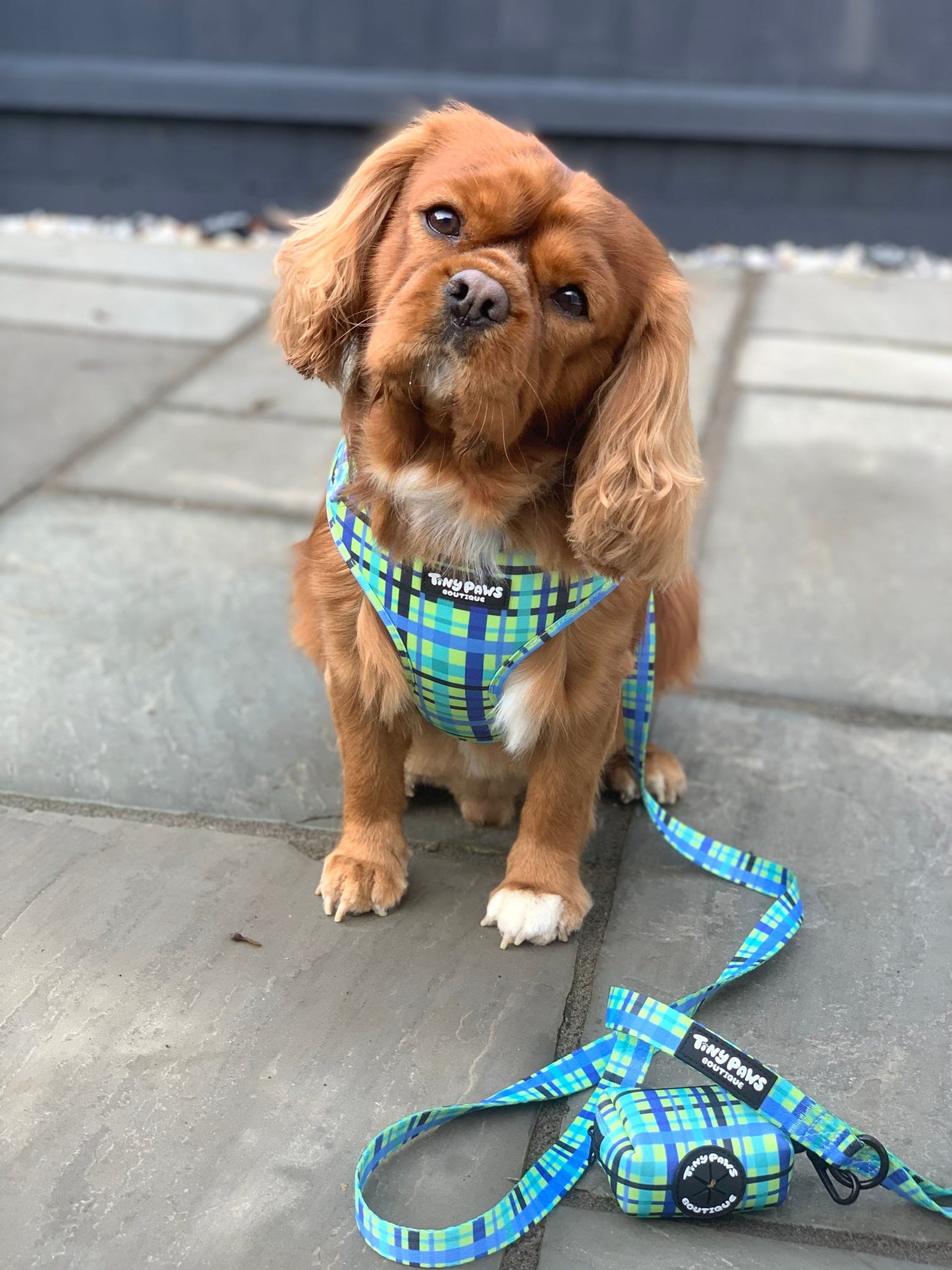 Electric Highland Set