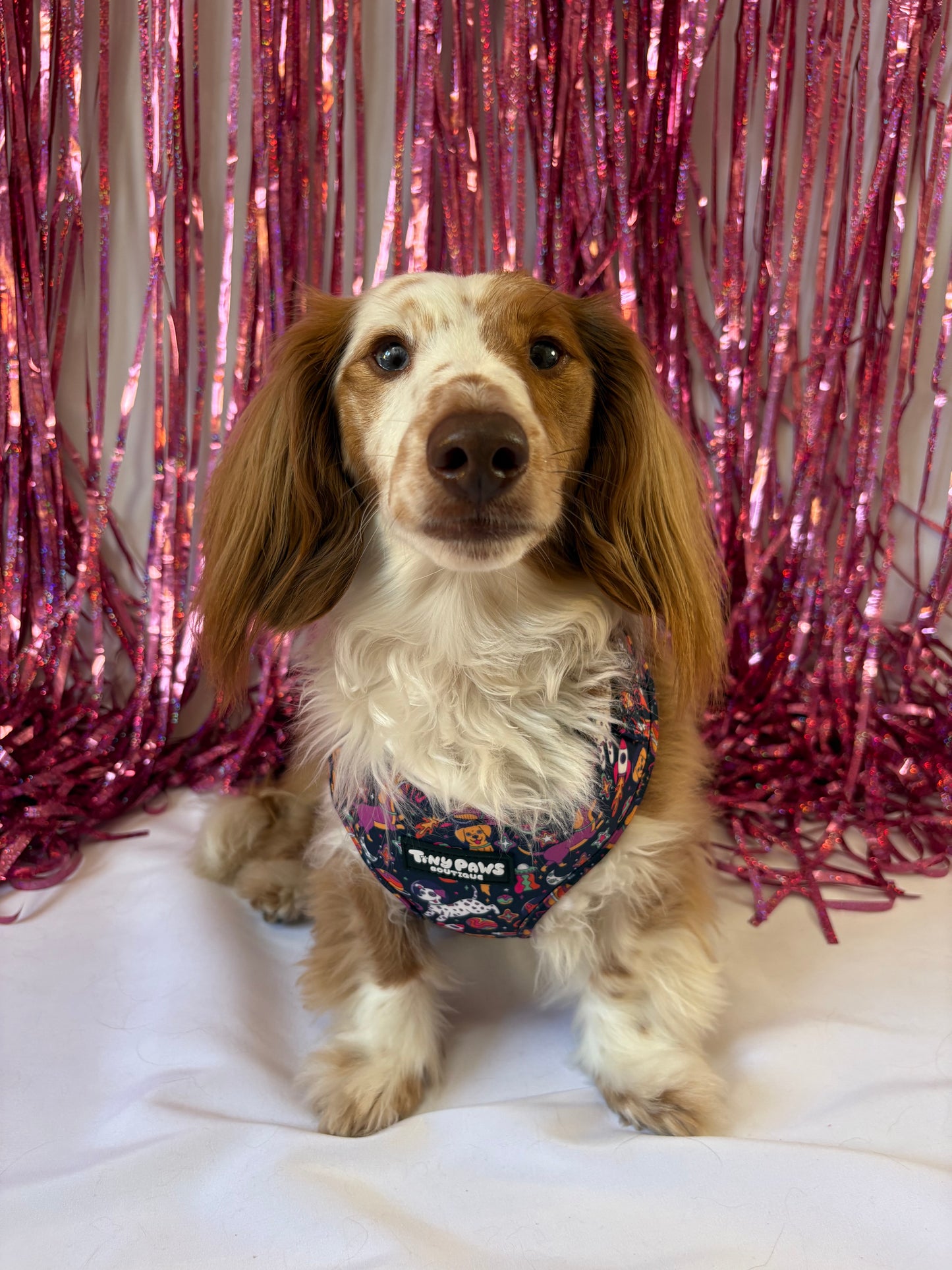 Psychedelic Pupstronaut Harness