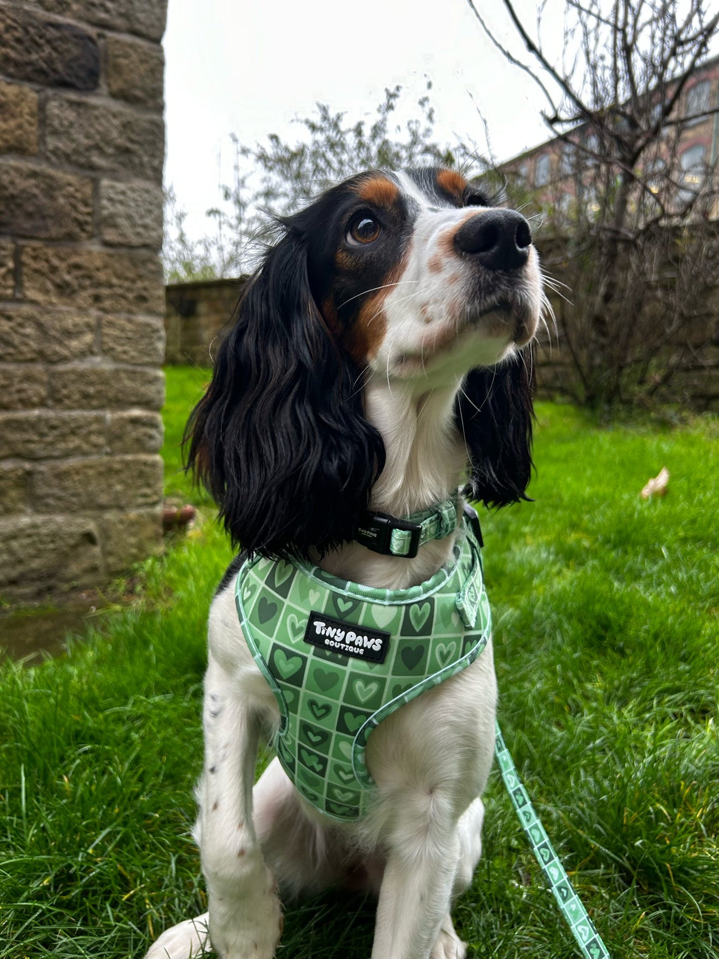Evergreen Hearts Collar