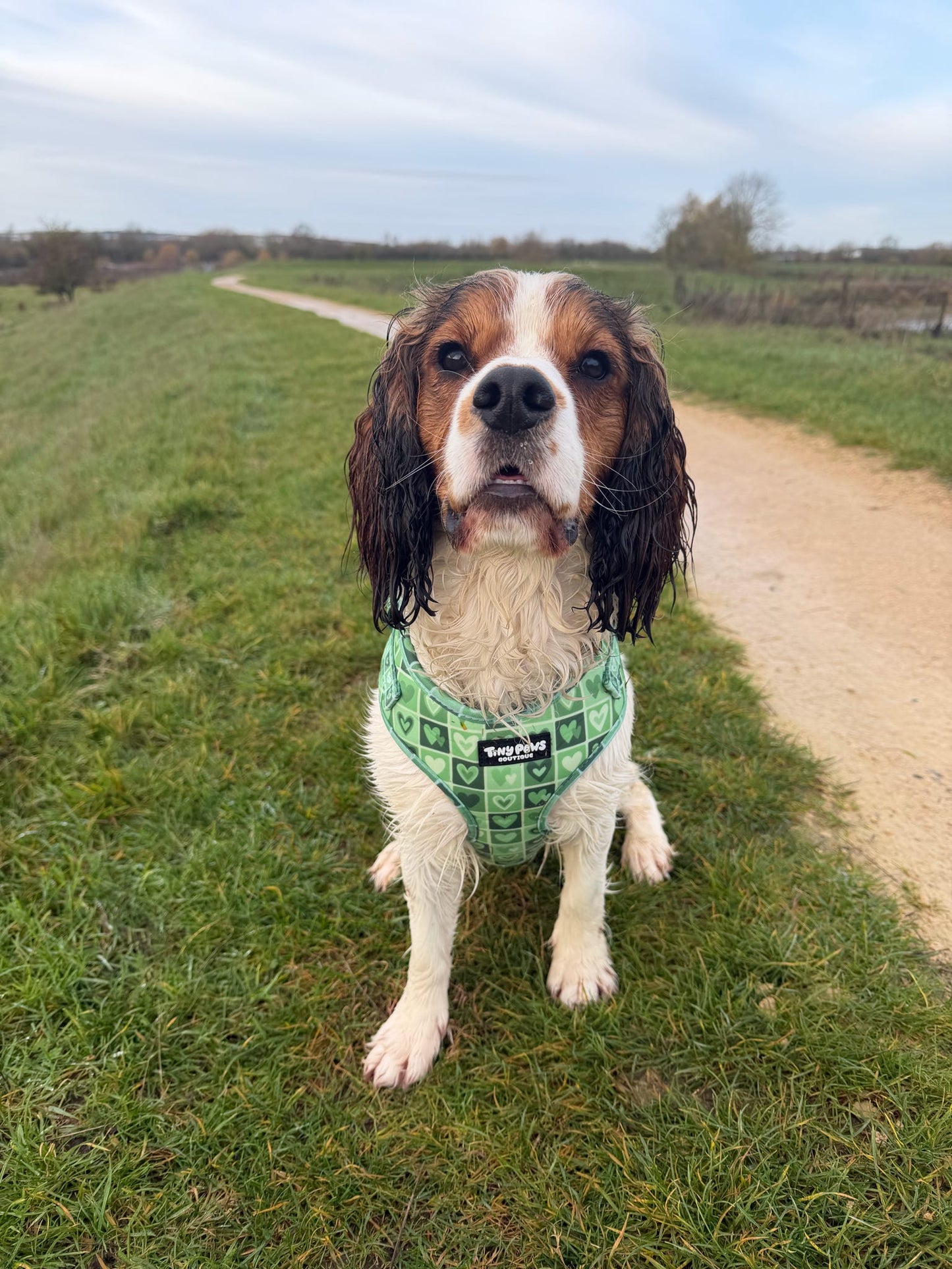 Evergreen Hearts Harness