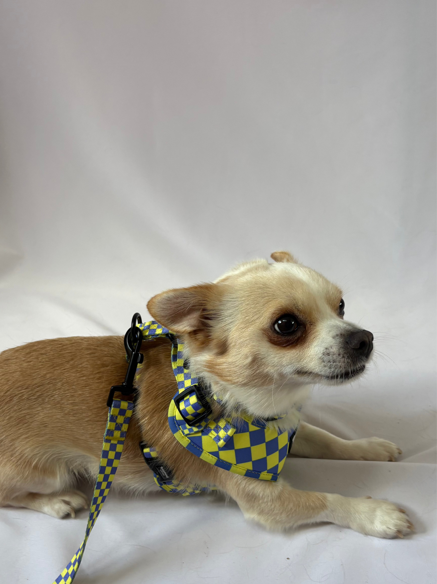 Electric Checkerboard Harness